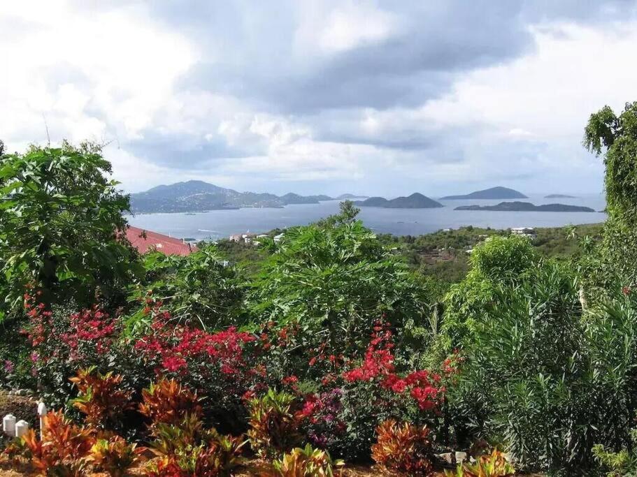 Cielo Vista Villa 3 Bdrm Sleeps 6 Heavenly View Cruz Bay Extérieur photo